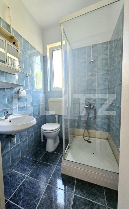 Casa de închiriat 9 camere Elisabetin - 196300CI | BLITZ Timișoara | Poza12
