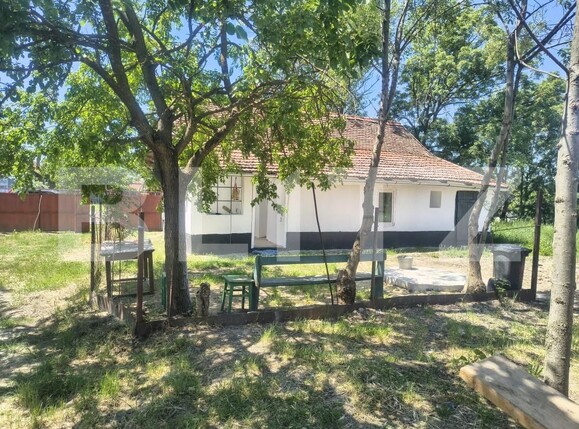 Casa de vânzare 3 camere Tormac - 196319CV | BLITZ Timișoara | Poza4