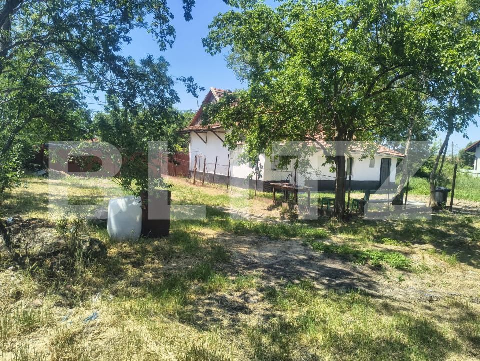 Casa de vânzare 3 camere Tormac - 196319CV | BLITZ Timișoara | Poza3