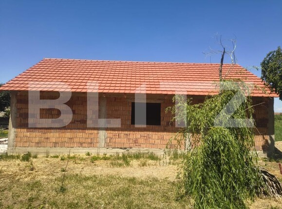 Casa de vânzare 3 camere Tormac - 196321CV | BLITZ Timișoara | Poza4