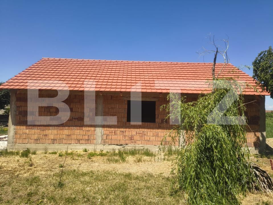 Casa de vânzare 3 camere Tormac - 196321CV | BLITZ Timișoara | Poza4