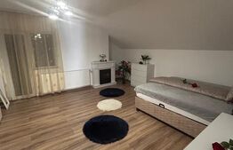 Vila Dumbravita 330 mp utili, Teren 558 mp - zona Kaufland