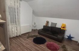 Vila Dumbravita 330 mp utili, Teren 558 mp - zona Kaufland