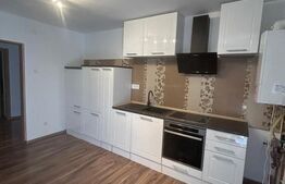Vila Dumbravita 330 mp utili, Teren 558 mp - zona Kaufland