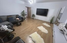 Vila Dumbravita 330 mp utili, Teren 558 mp - zona Kaufland