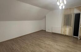 Vila Dumbravita 330 mp utili, Teren 558 mp - zona Kaufland
