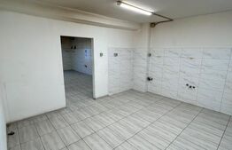 Spațiu comercial ideal clinică, 170 mp, Ultracentral - Piața Avram Iancu