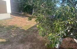 Duplex de vanzare, 116 mp, zona Giarmata - Central 
