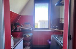 Apartament cu 2 camere, 53 mp, mobilat, costuri mici intretinere, zona Lipovei