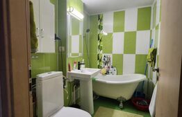 Apartament cu 2 camere, 53 mp, mobilat, costuri mici intretinere, zona Lipovei