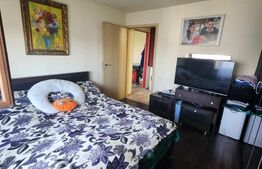 Apartament cu 2 camere, 53 mp, mobilat, costuri mici intretinere, zona Lipovei