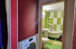 Apartament cu 2 camere, 53 mp, mobilat, costuri mici intretinere, zona Lipovei