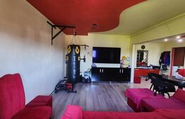 Apartament cu 2 camere, 53 mp, mobilat, costuri mici intretinere, zona Lipovei