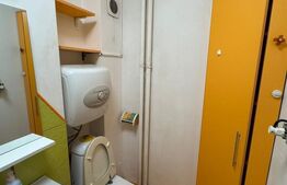 Apartament 2 camere, 56 mp, pet friendly, zona Gheorghe Lazar