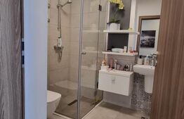 PENTHOUSE TORONTALULUI 3 CAMERE