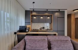 PENTHOUSE TORONTALULUI 3 CAMERE