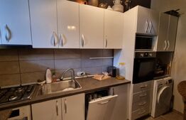Apartament 3 camere, 120 mp, zona Iosefin