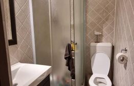Apartament 3 camere, 120 mp, zona Iosefin