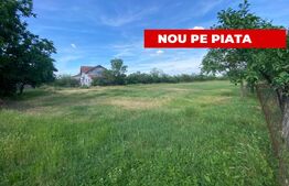 Teren intravilan, 550,mp P+2E,  Dragsina