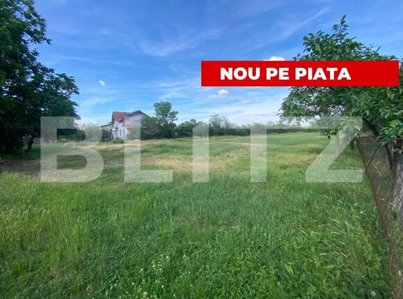 Teren de vânzare Mosnita Noua - 197158TV | BLITZ Timișoara | Poza1
