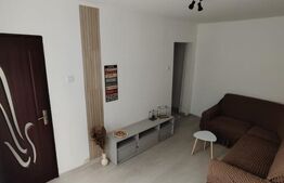 Apartament 3 camere, 40 mp, zona Sagului