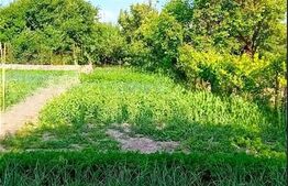 Casa 4 camere, 94 mp, Braytim-Fratelia