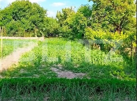 Casa de vânzare 4 camere Braytim - 197354CV | BLITZ Timișoara | Poza15