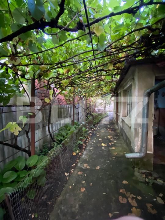 Casa de vânzare 4 camere Braytim - 197354CV | BLITZ Timișoara | Poza8