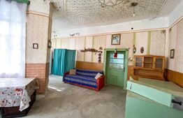 Casa de vanzare, 100 mp, teren 2993 mp, zona Dragsina
