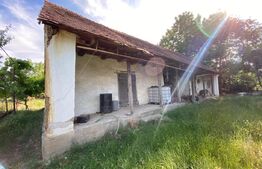 Casa de vanzare, 100 mp, teren 2993 mp, zona Dragsina