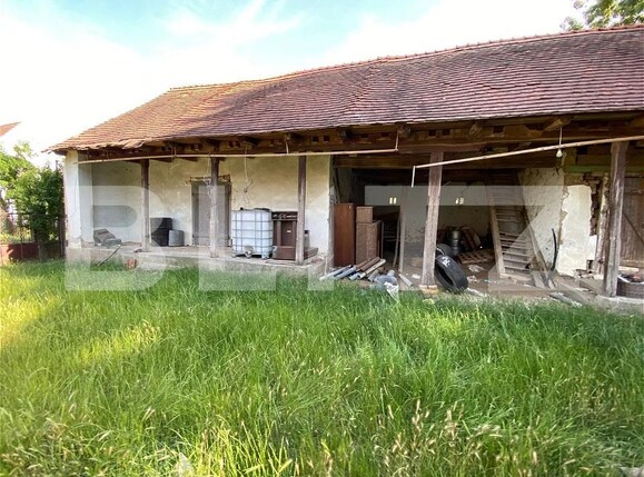 Casa de vânzare 4 camere Dragsina - 197361CV | BLITZ Timișoara | Poza8