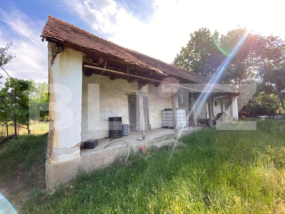 Casa de vânzare 4 camere Mosnita Noua - 197361CV | BLITZ Timișoara | Poza10
