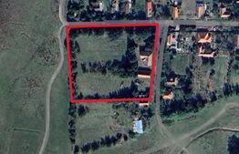 Teren intravilan, 9100 mp, potential dezvoltare imobiliara, zona Dragsina  