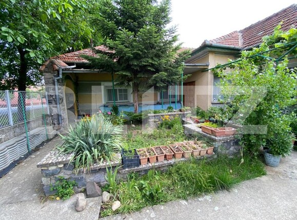 Casa de vânzare 5 camere Ciarda Rosie - 197380CV | BLITZ Timișoara | Poza3