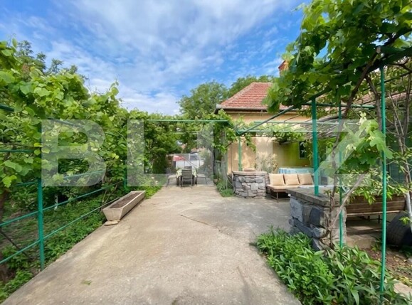 Casa de vânzare 5 camere Ciarda Rosie - 197380CV | BLITZ Timișoara | Poza4
