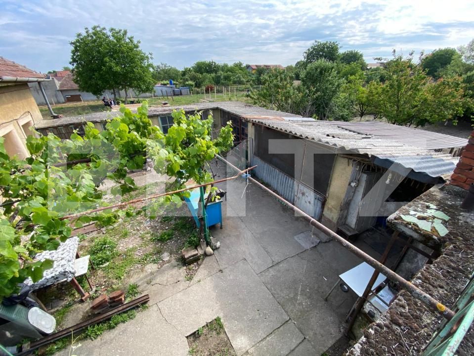 Casa de vânzare 5 camere Ciarda Rosie - 197380CV | BLITZ Timișoara | Poza6
