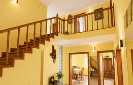 Casa de vânzare 6 camere Girocului - 162096CV | BLITZ Timișoara | Poza3