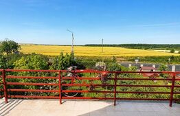 Casă individuală exclusivistă de vânzare, 320 mp utili, teren 1.491 mp