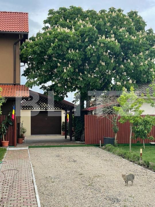 Casa de vânzare 6 camere Pischia - 197540CV | BLITZ Timișoara | Poza21
