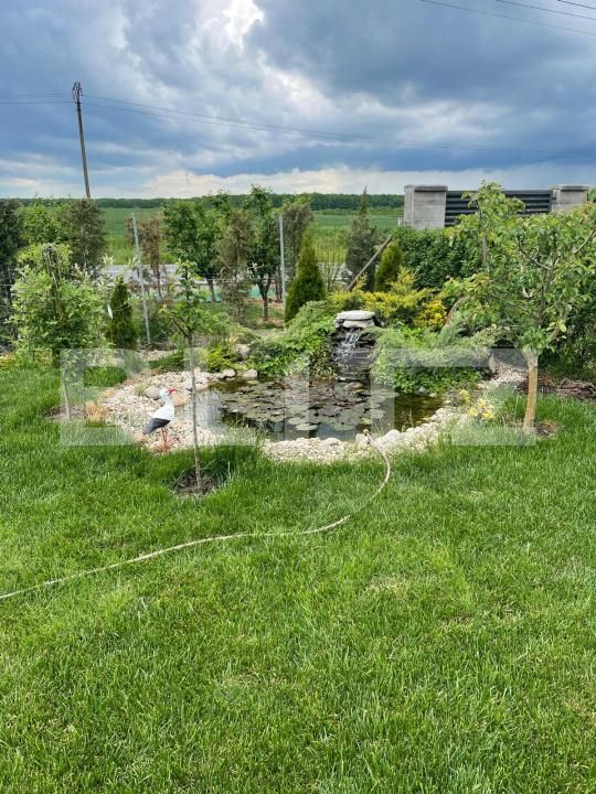 Casa de vânzare 6 camere Pischia - 197540CV | BLITZ Timișoara | Poza22