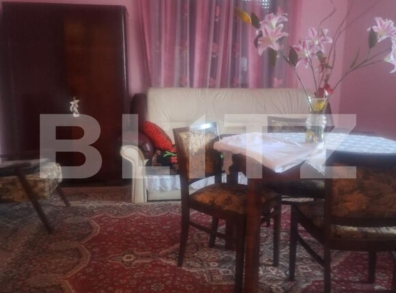 Casa de vânzare 4 camere Criciova - 197750CV | BLITZ Timișoara | Poza3