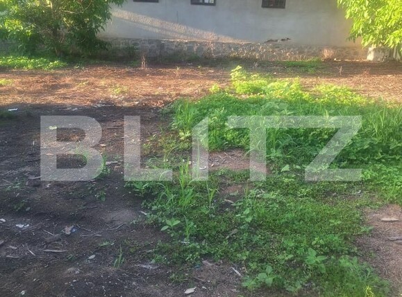Casa de vânzare 4 camere Criciova - 197750CV | BLITZ Timișoara | Poza6