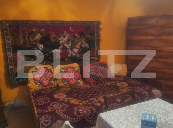 Casa de vânzare 4 camere Criciova - 197750CV | BLITZ Timișoara | Poza8