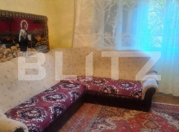Casa de vânzare 4 camere Criciova - 197750CV | BLITZ Timișoara | Poza9