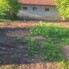 Casa de vânzare 4 camere Criciova - 197750CV - Poza 1 din 9 | BLITZ Timișoara | Poza8