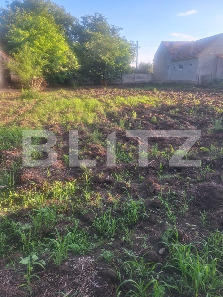 Casa de vânzare 4 camere Criciova - 197750CV | BLITZ Timișoara | Poza5