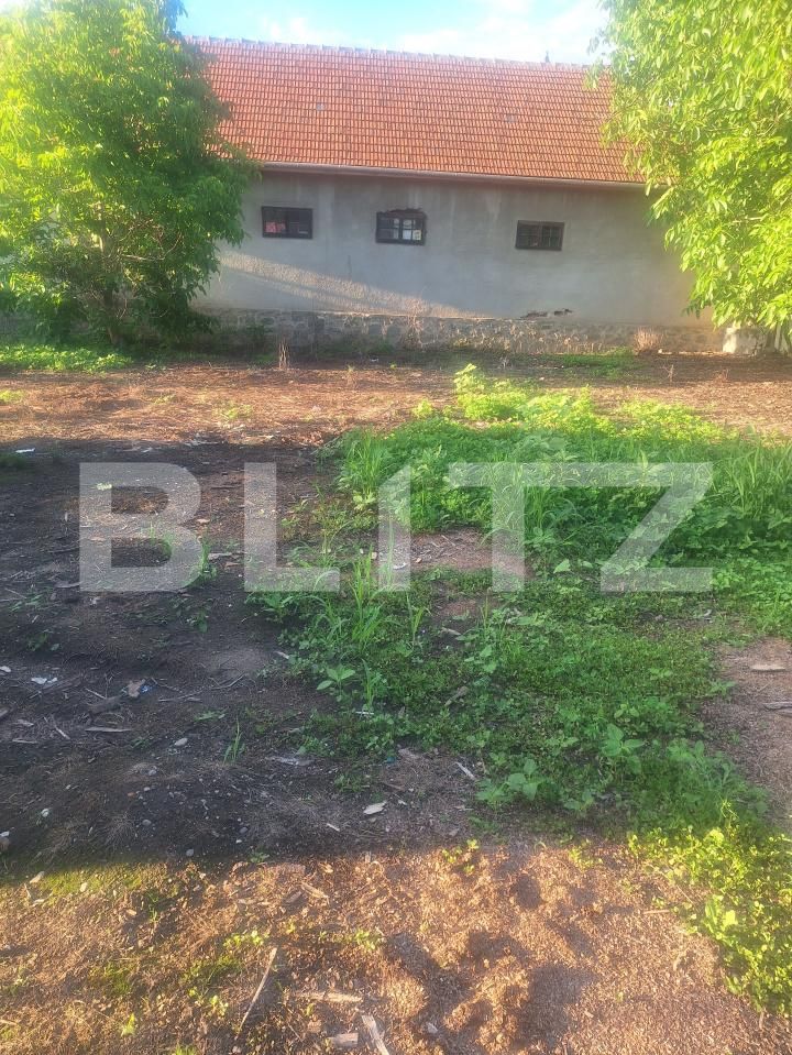 Casa de vânzare 4 camere Criciova - 197750CV | BLITZ Timișoara | Poza6
