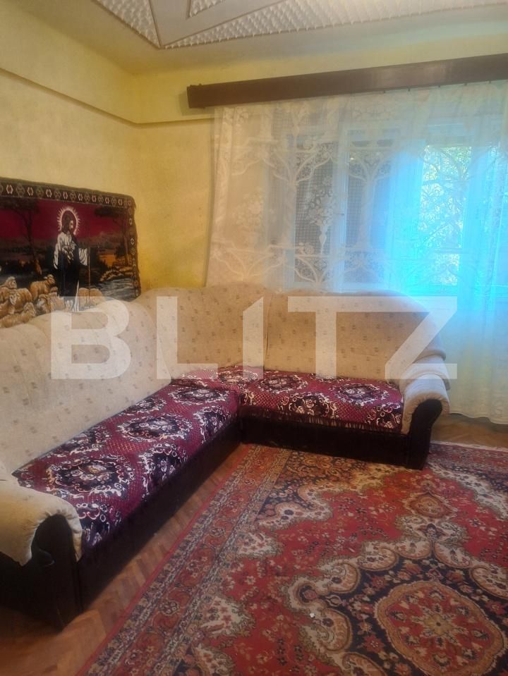 Casa de vânzare 4 camere Criciova - 197750CV | BLITZ Timișoara | Poza9