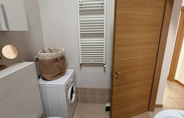 Apartament cochet în Dumbrăvița |2 camere | Kaufland, Dumbravita