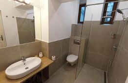 Clădire de patrimoniu din secolului  XIX, de vanzare, zona Fabric - COMISION 0